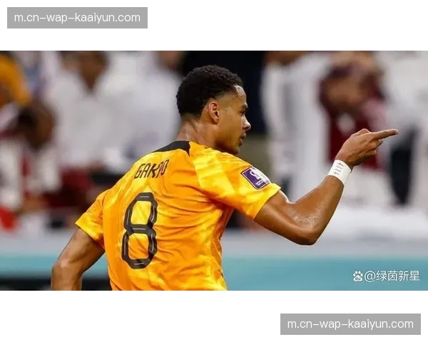 荷兰预选赛进攻数据深度解析 加克波点球效率背后的战术设计